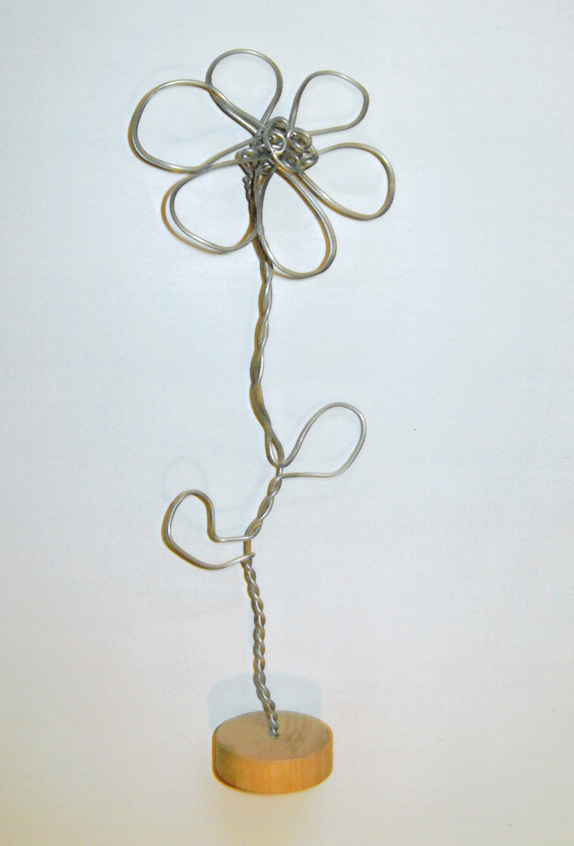 Drahtblume2